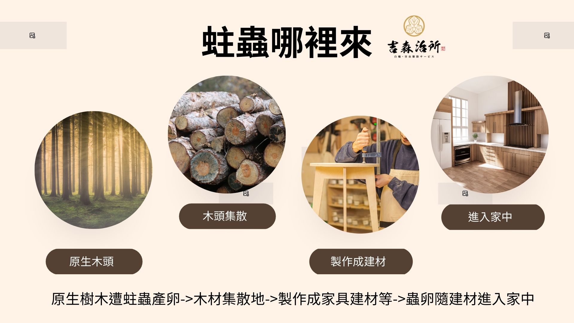 蛀蟲哪裡來.jpg