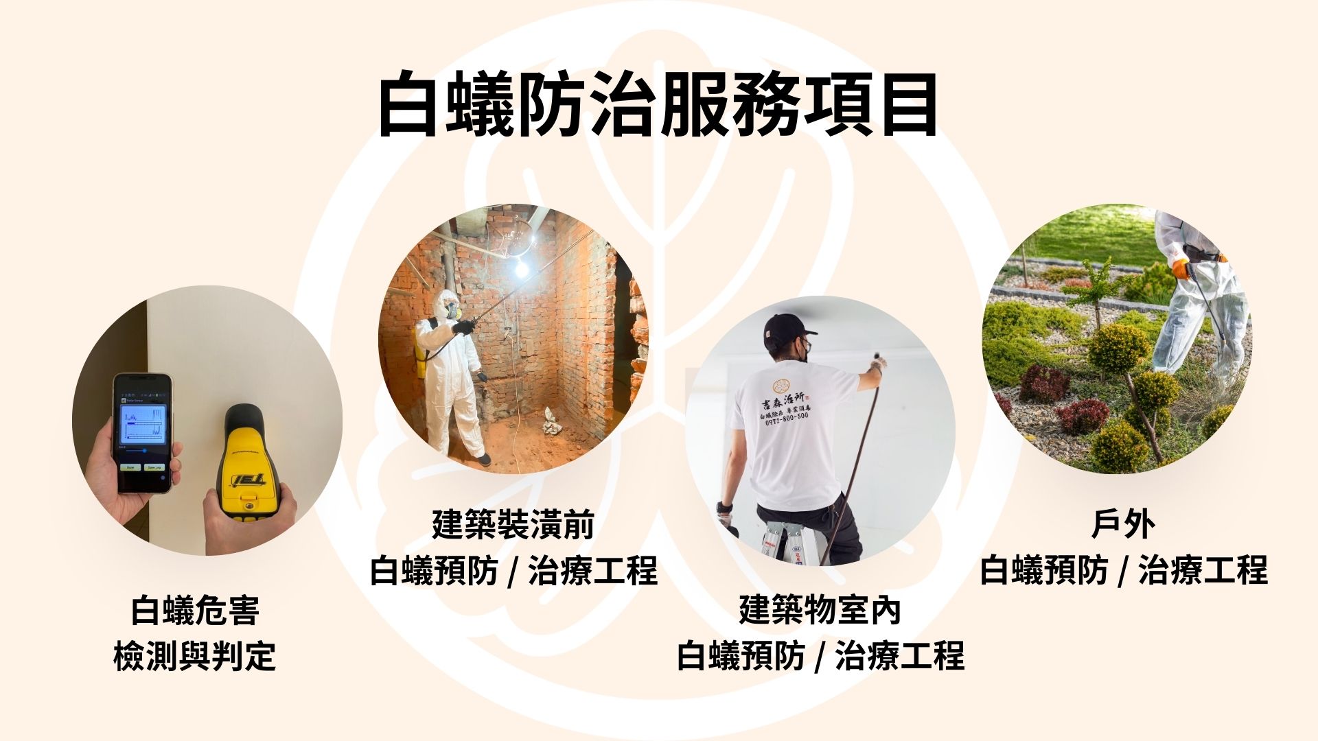 桃園除白蟻服務項目.jpg