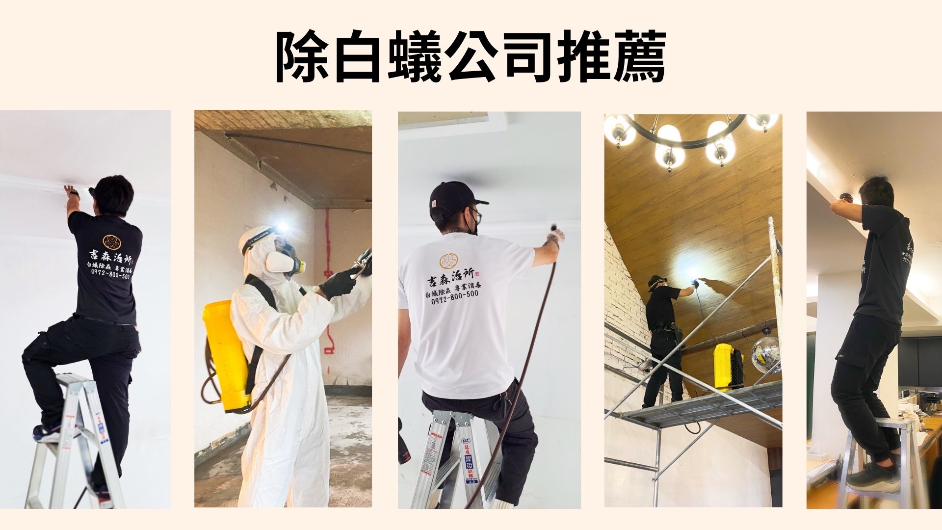 除白蟻公司推薦.jpg