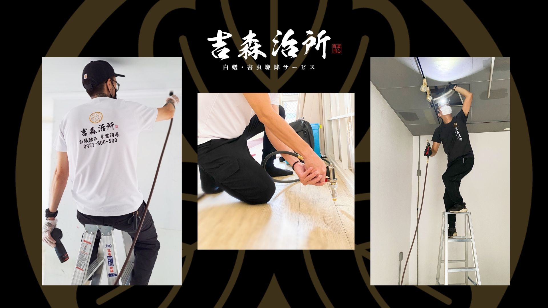 桃園除白蟻推薦 吉森治所除白蟻除蟲公司.jpg
