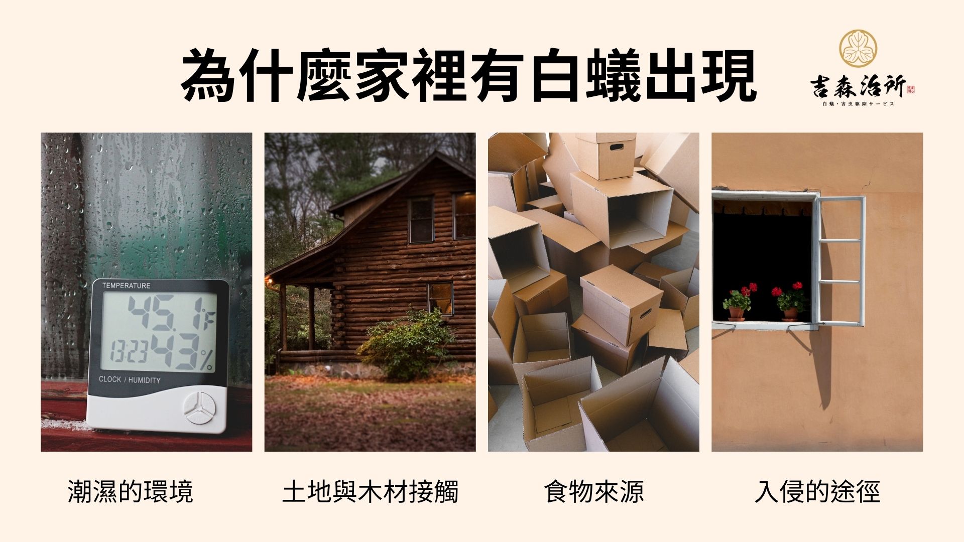 為什麼家裡有白蟻出現.jpg