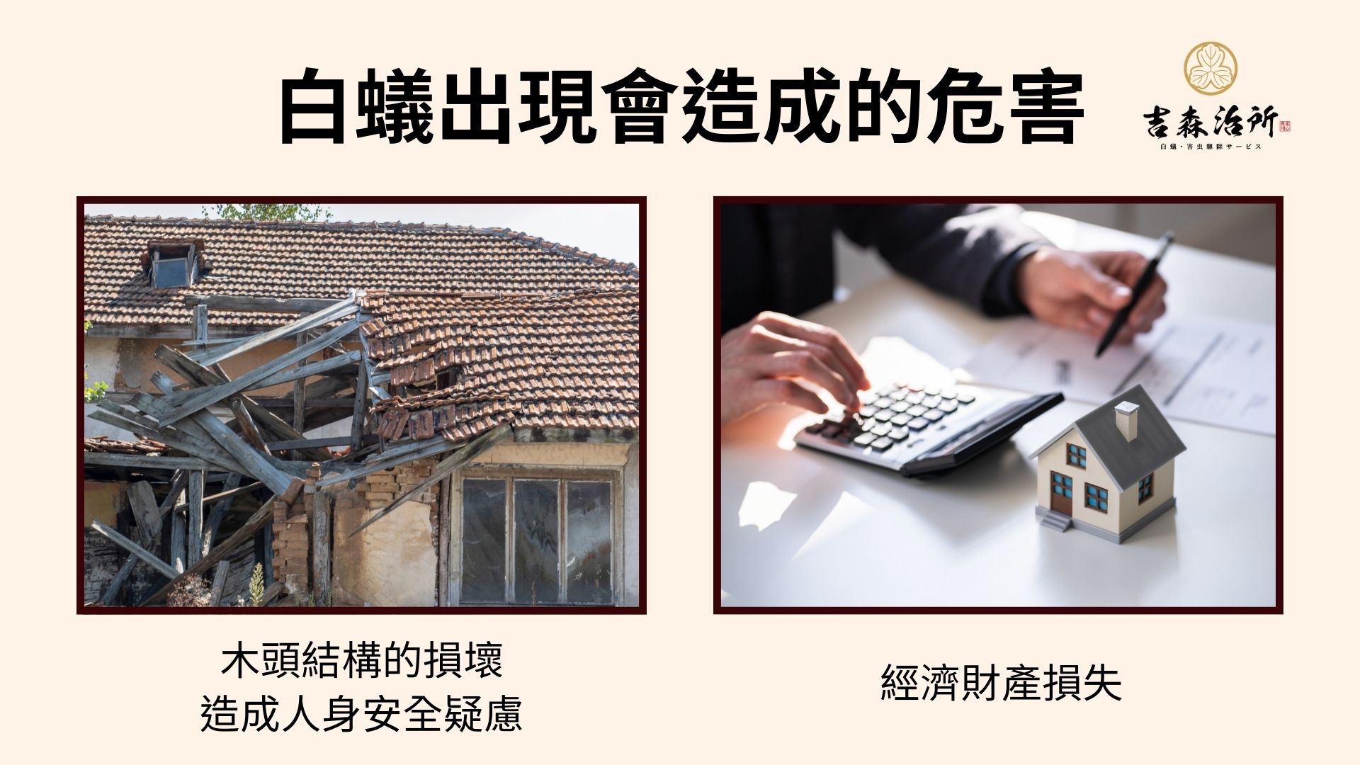 白蟻出出現會造成的危害.jpg