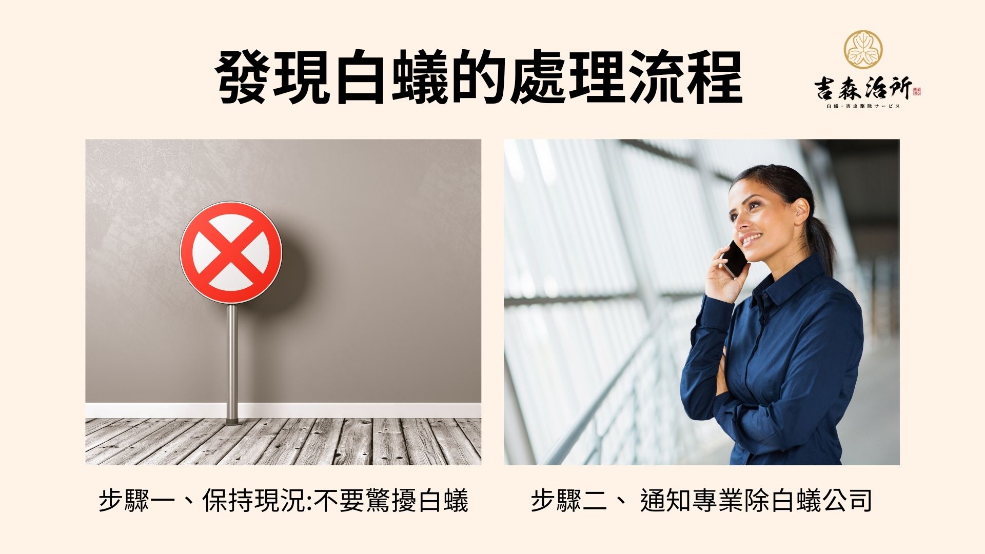 發現白蟻的處理流程.jpg