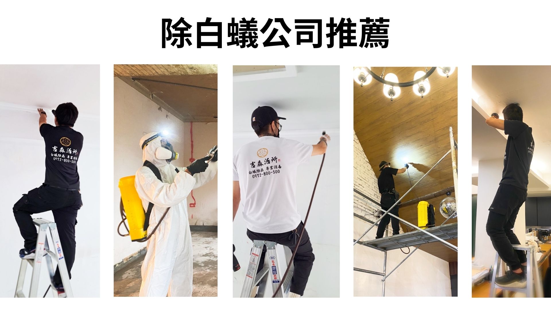 除白蟻公司推薦.jpg