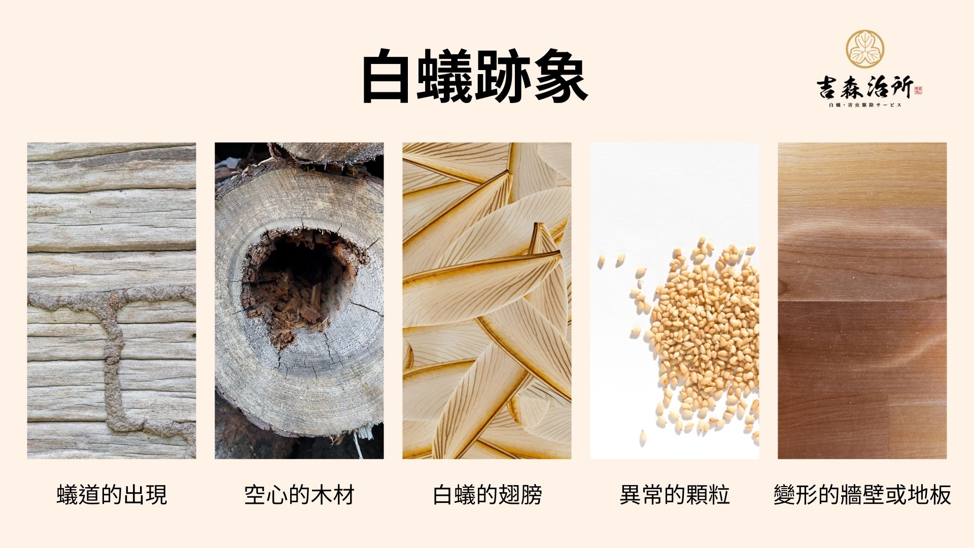 白蟻跡象 吉森治所.jpg