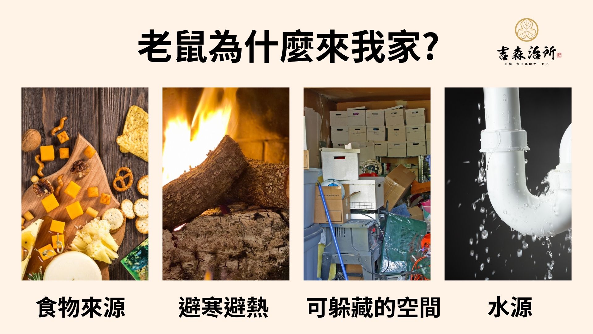 老鼠為什麼來我家 吉森治所.jpg