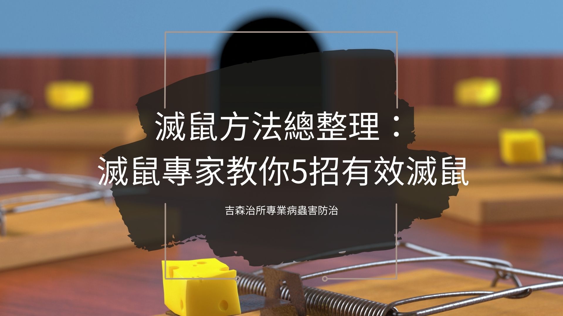 滅鼠方法總整理：滅鼠專家教你5招有效滅鼠-吉森治所