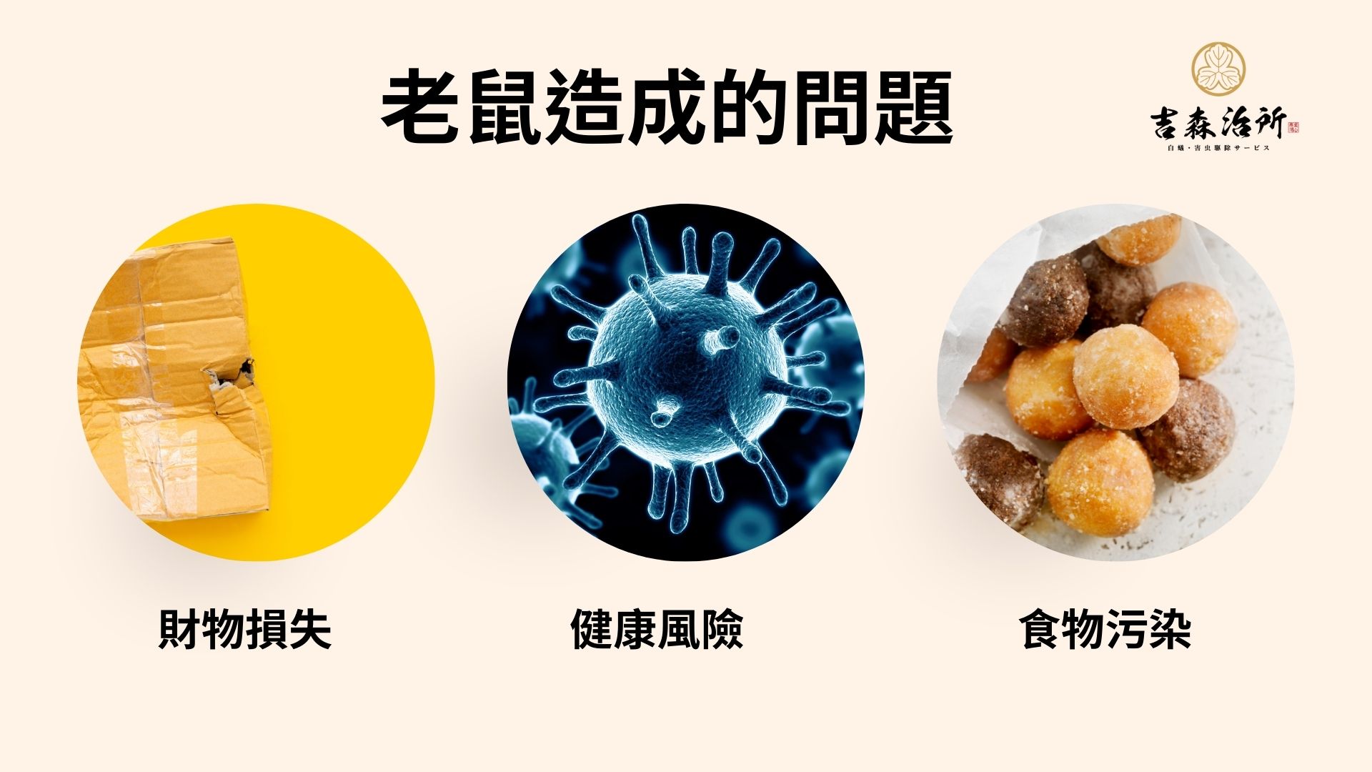 老鼠造成的問題 吉森治所.jpg