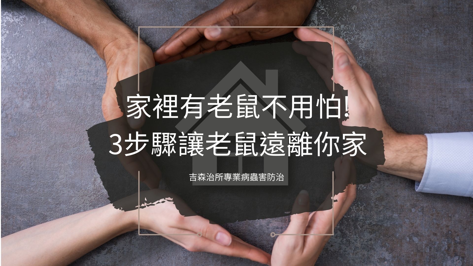 家裡有老鼠不用怕!3步驟讓老鼠遠離你家-吉森治所