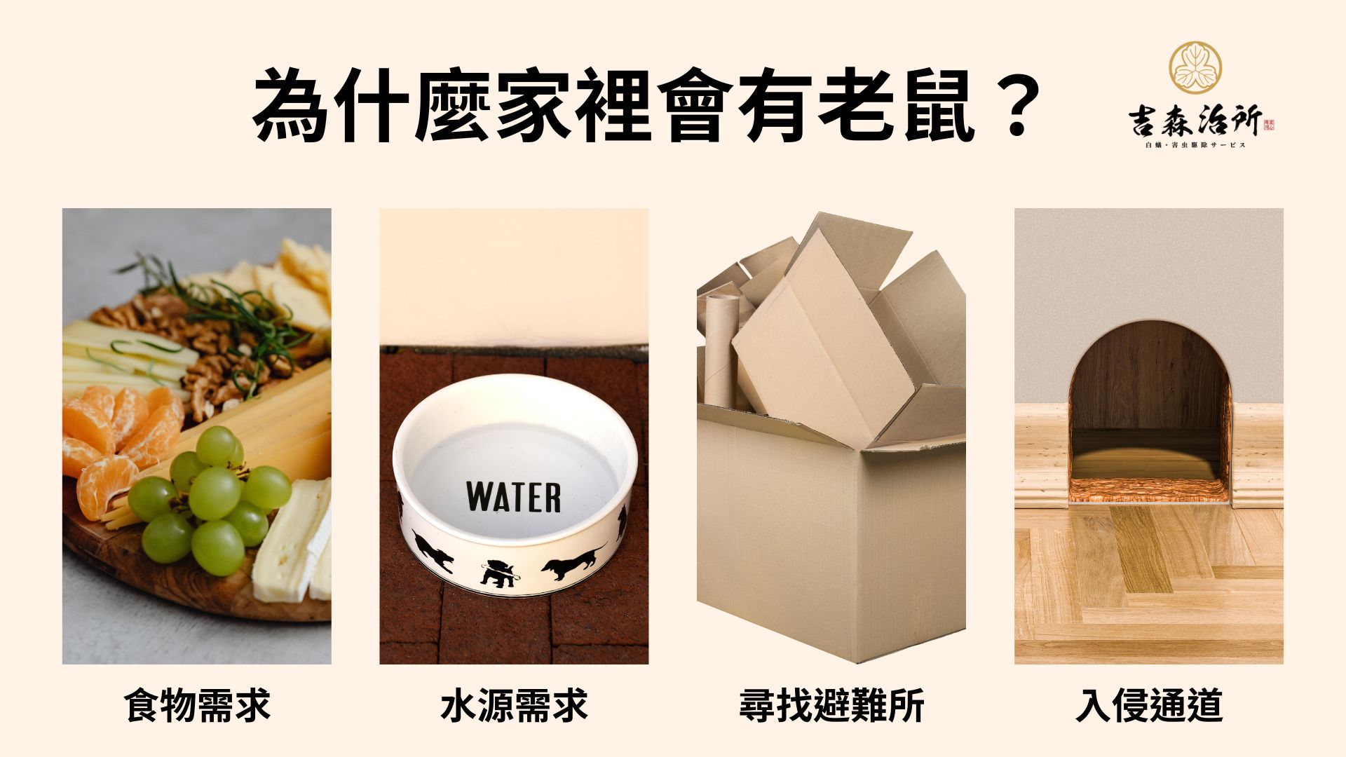 為什麼家裡會有老鼠 吉森治所.jpg