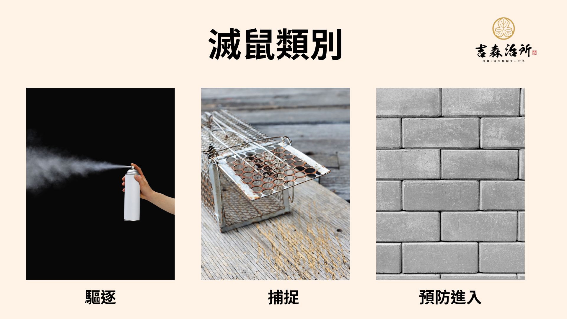 滅鼠類別.jpg