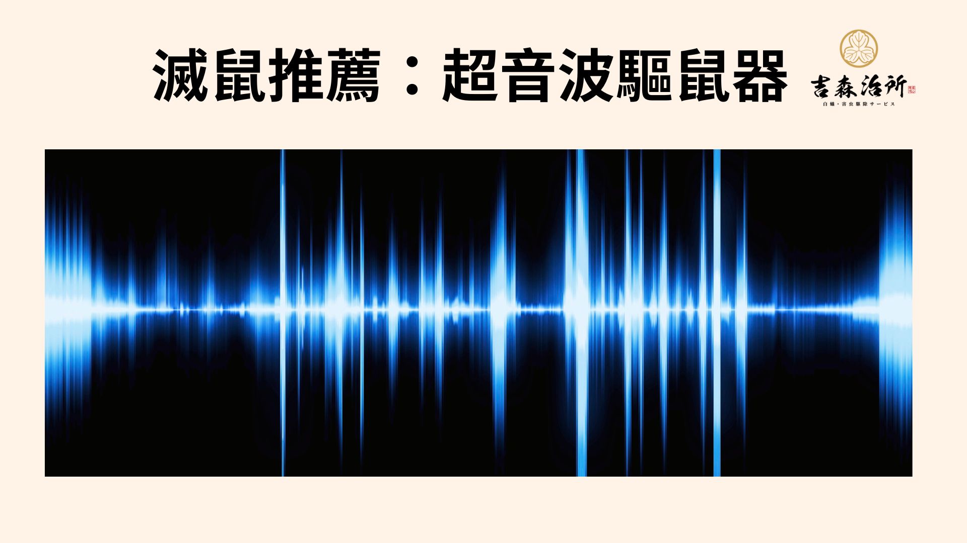 滅鼠推薦 超聲波驅鼠器.jpg