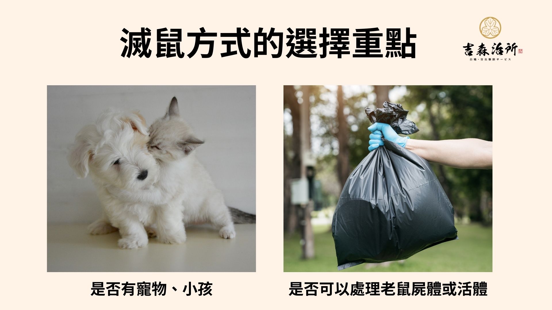 滅鼠方式的選擇重點.jpg