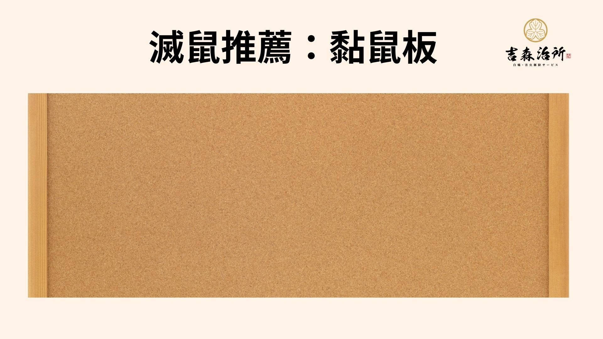 滅鼠推薦 黏鼠板.jpg