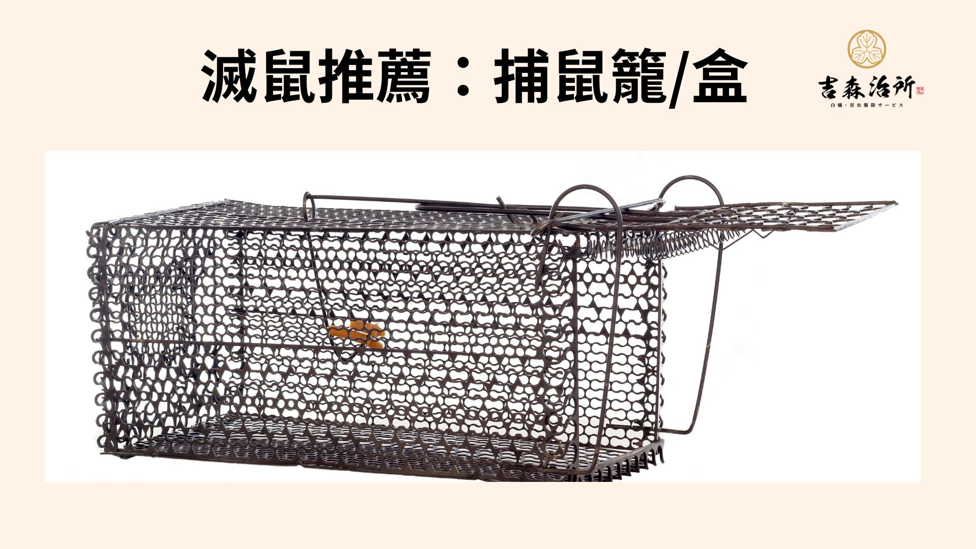 滅鼠推薦 捕鼠器.jpg