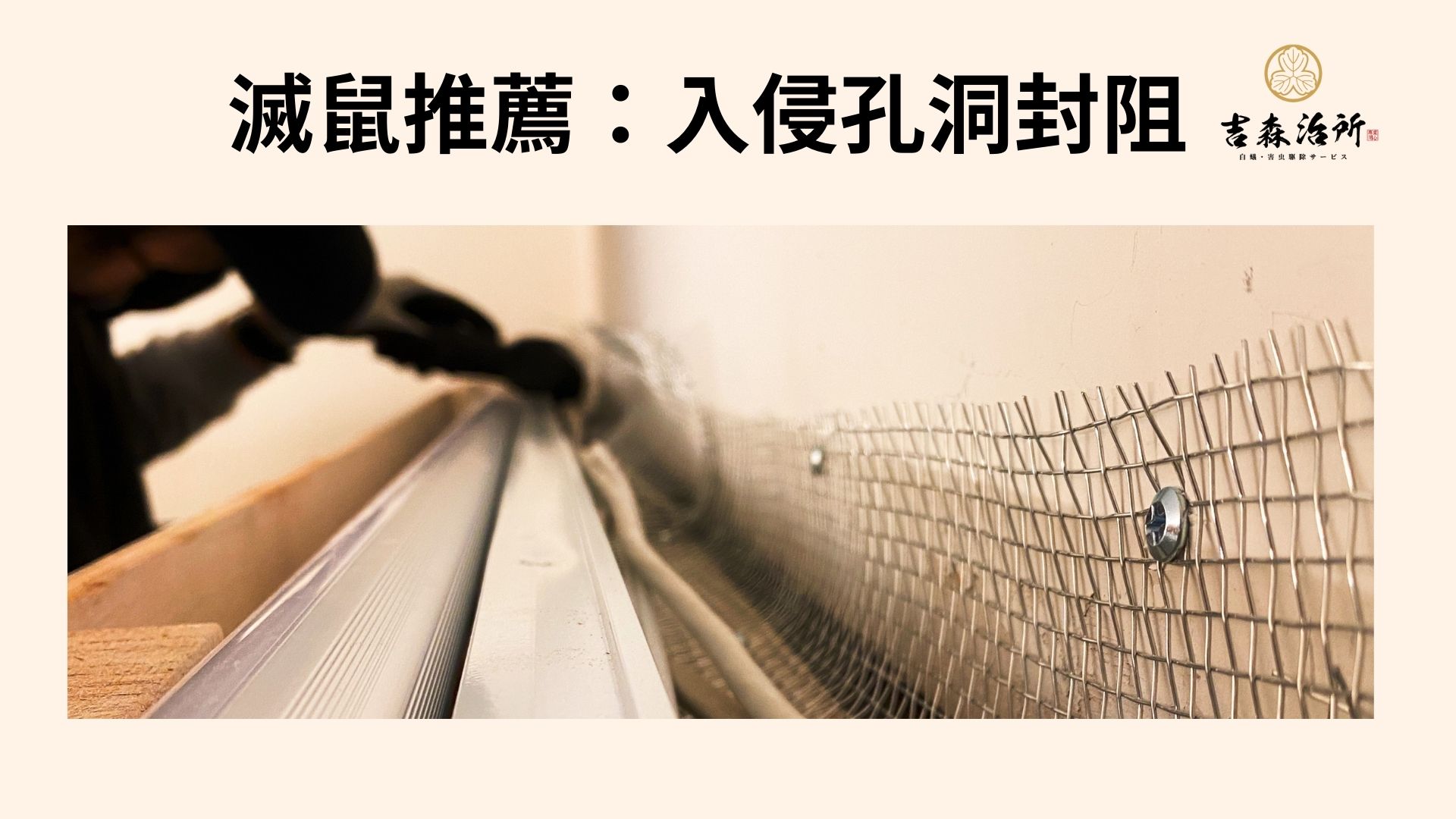 滅鼠推薦 老鼠入侵口封阻.jpg
