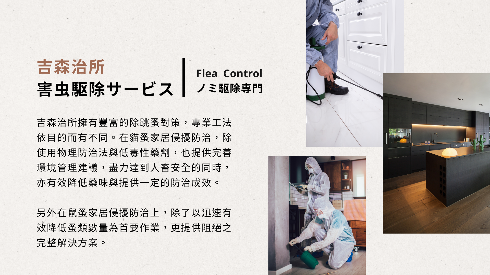 桃園除蚤.png